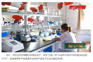 市農(nóng)業(yè)農(nóng)村局多措并舉 助力文明城市創(chuàng)建 保障食用農(nóng)產(chǎn)品質(zhì)量安全與充足供應(yīng)