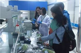 李忠副局長率隊(duì)調(diào)研供深食用農(nóng)產(chǎn)品安全與研發(fā)工作，筑牢市民“舌尖上的防線”