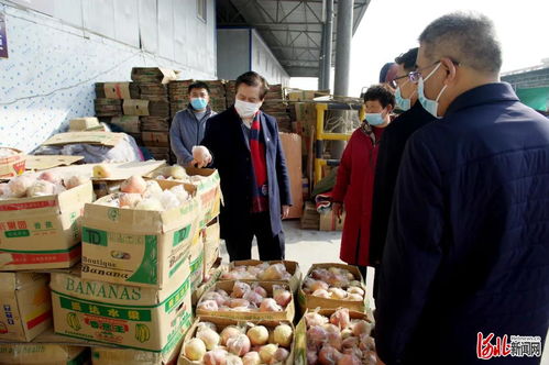 邢臺市市場監(jiān)管局黨組書記柳金鐘實地調(diào)研食用農(nóng)產(chǎn)品市場銷售信息追溯系統(tǒng)建設(shè) 筑牢食品安全防線，推動追溯技術(shù)研發(fā)創(chuàng)新